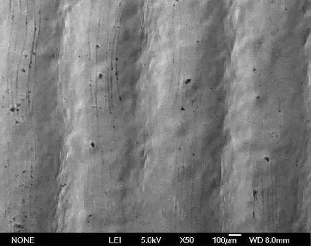 电子显微镜下膜片图像